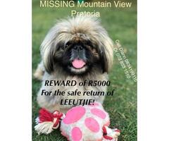 Missing in Mountain View