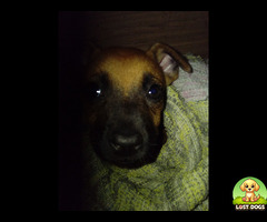 Name is cupcake