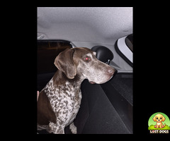 Found GSP In Road