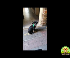 MAX MISSING SINCE 23/03/26